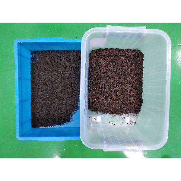 2t/H Tea Color Sorter Machine 99.99 Sorting Accuracy Variable Light Background