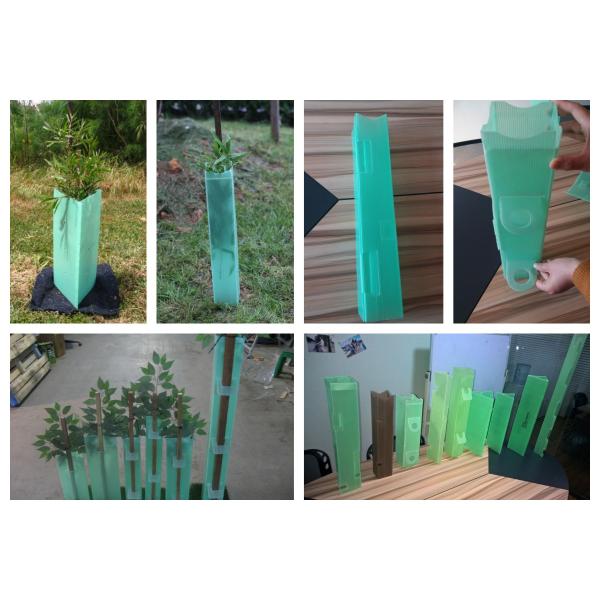 Corflute Tree Guard Eco Friendly Corrugated Plastic Sheet Providing Protection For Young Trees Against Rodents And Chemical Sprays