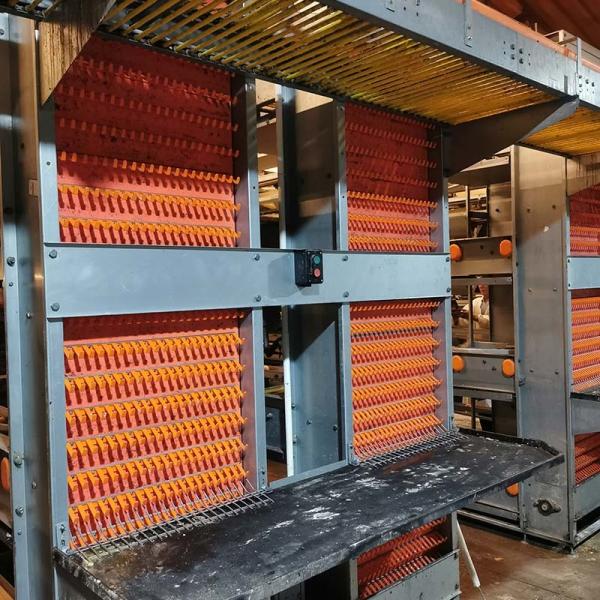 Chicken Egg Layer Cages Equipment With Poultry House