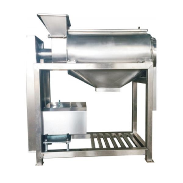Continuous 0.5t/H 1.5kw Mango Fruit Pulping Machine