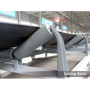 Quality Low Rotate Resistance Labyrinth Seal Conveyor Component for sale