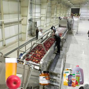 Food Standard SUS 304 Apple Processing Line Cold Press Fruit Juice Processing