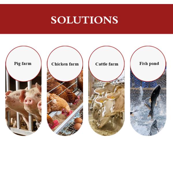 Smart Livestock Project LTE 4G Gateway With DI DO For IOT Router Data Monitoring