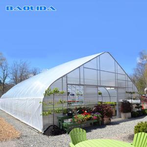 China Horticultural Flower Growing Single-Span Film Tunnel Greenhouse Polyethylene Film Greenhouse on sale