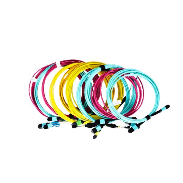 24 Core Fiber Optic To 24F MPO MTP Patch Cord Fiber Trunk Cable