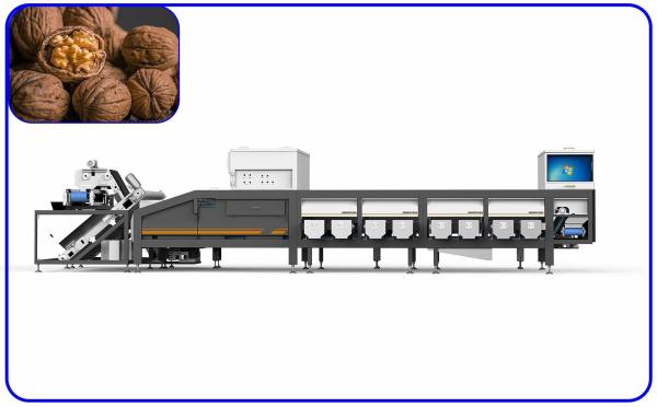 Buy Mechanical 16 Channel Walnut Sorter 2 T/H Optical Sorting Machine at wholesale prices