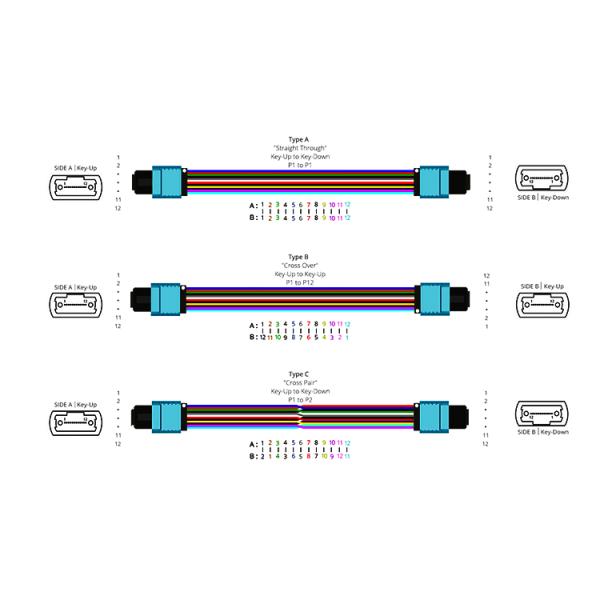 24 Core Fiber Optic To 24F MPO MTP Patch Cord Fiber Trunk Cable