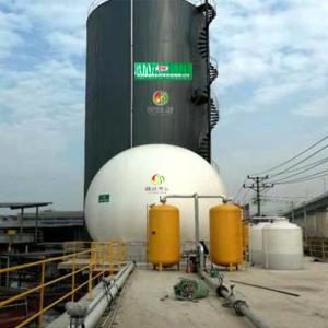 China Small Biogas Generator CNG Production Plant Biogas Companies on sale