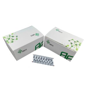 Quality High Performance Isothermal Amplification Kit For Accurate Diagnostics for sale