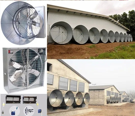 Waterproof Automatic Poultry Farm Equipment Chicken House Feeders Drinkers Complete Set