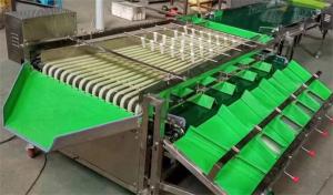 Quality blueberry grading machine, dates sorting machine, plum grading machine for sale