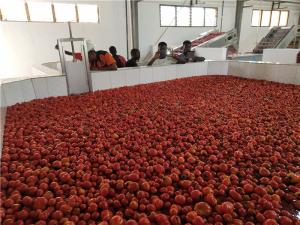 China SUS304 50T/H 440V Tomato Ketchup Production Line on sale