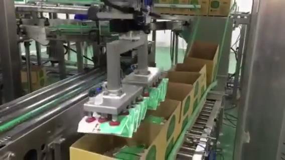 Mechanical Manipulator Automatic Case Packer Machine Long Service Life For Pouches