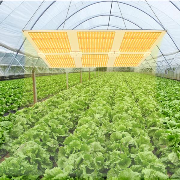 Customized LED Chip Lm301b PCB Quantum Board For Plant Grow Lights