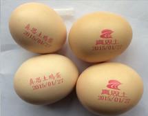 Quality Metal / Plastic / Aluminum Foil Jet Coding Machine / Egg Spraying Machine for sale