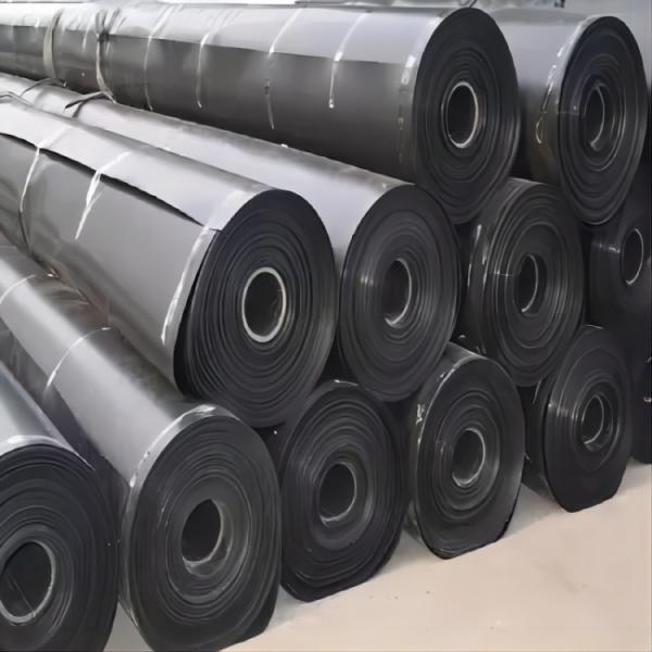 Prefabricated HDPE Geomembrane Fish Pond Liner for Aquaculture Farms and Landfill Sites