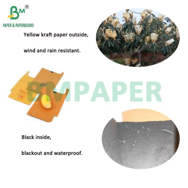2 Layer Fruit Mango Protective Bag Paper Rolls Waterproof Yellow Outside Black Inside