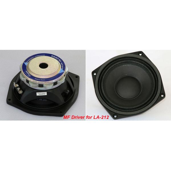 Dual 12 Inch 1560W Line Array Speaker With Neodymium Drivers For Concert , Living Event