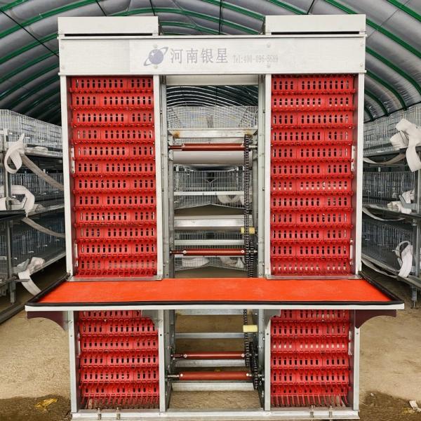 H Type Fully Automatic Battery Chicken Cage System Egg Layer Poultry Farming Equipment
