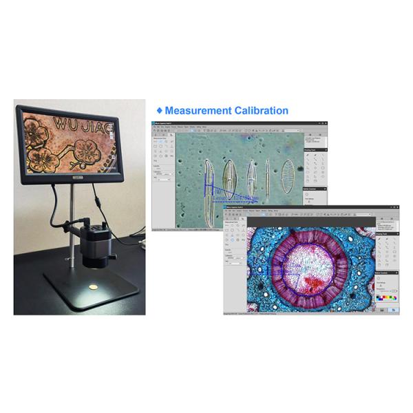 12.5" LCD HDMI USB Digital Microscope 6x - 39.4x 2.0M Real Time Auto