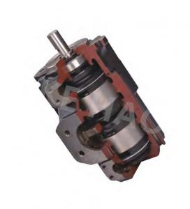 China T6、T67、T7 Series Double Vane Pump , Cartridge Stainless Steel Gear Pump on sale
