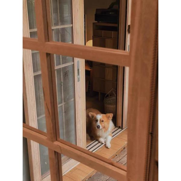 Anti-Theft Insulated Folding Window Bulletproof Hurricane-Resistant Double Glazed Aluminum for Homes