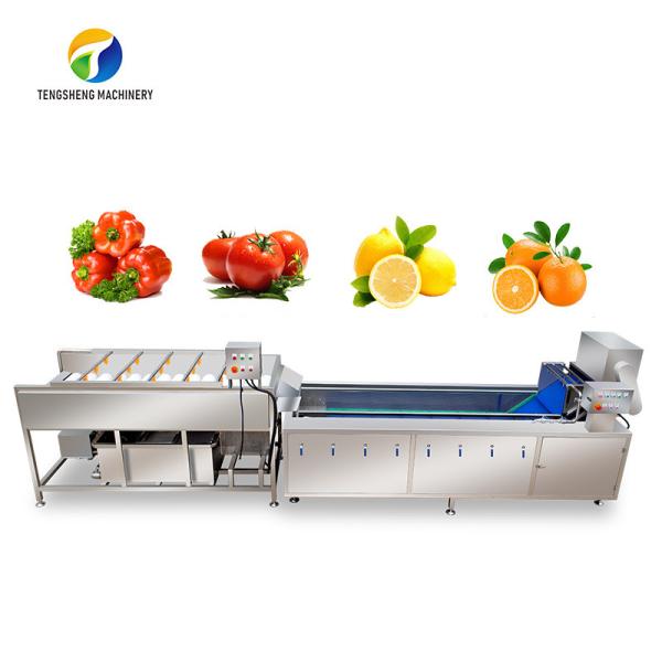 Buy Multifunction Fruit And Vegetable Processing Line Parallel Brush Machine at wholesale prices