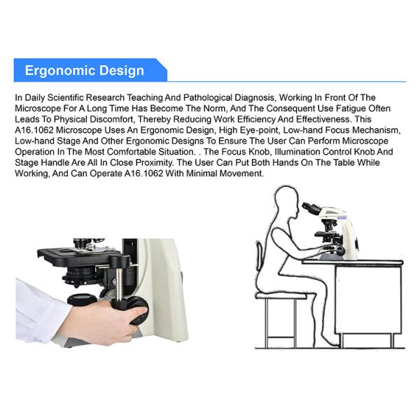 OPTO EDU A16.1062 Infinity Binocular Trinocular Led Fluorescent Microscope BG