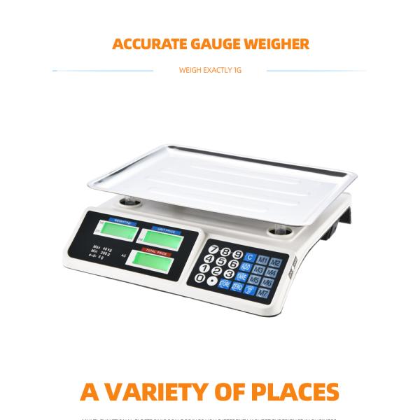 Bench Scale ABS Material Direct Digital 30kg/40kg High Accuracy 1g LED/LCD Display OEM Customizable