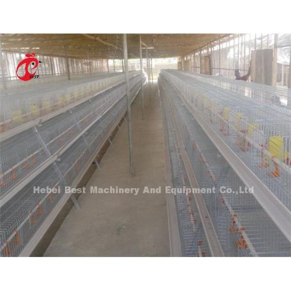 Hightop Chick Brooder Chicken Cage Of Poultry Chicks Ada