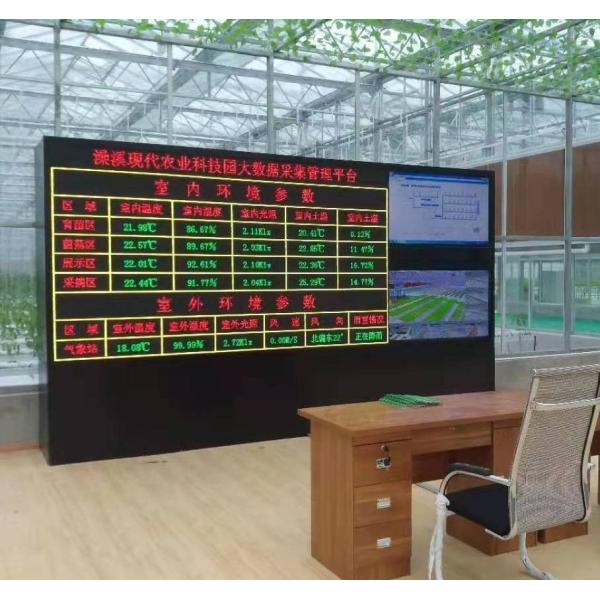 Agricultural Intelligent Sunlight Polycarbonate Greenhouse with Insect Proof Net