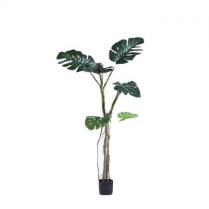 Quality OEM ODM Indoor Artificial House Plants Eco Friendly  Hassle Free Non Toxic for sale