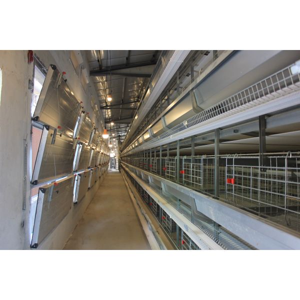 Battery Chicken Cages Fully Automatic Environmental Controlled System Suitable for Poultry Farming