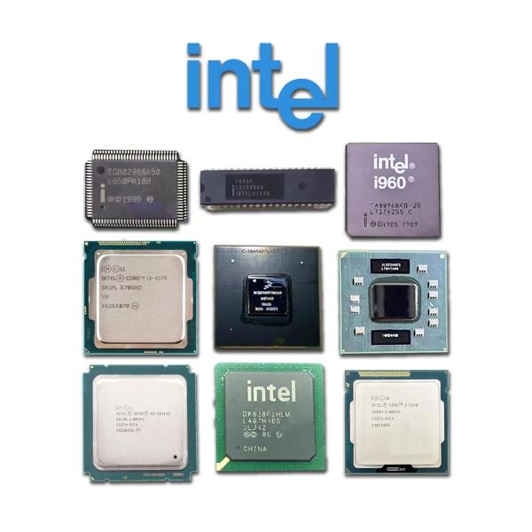 98DX243-A2-BCW1C000 Integrated Circuits (ICs) Embedded FPGAs (Field Programmable