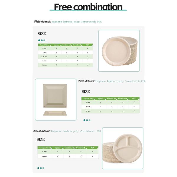 100% biodegradable Paper Tableware Sugarcane Bagasse Disposable Plates Sets Dinnerware