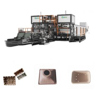 China Paddy Nursery Tray Machine Automatic Fiber Process Forming Machines on sale