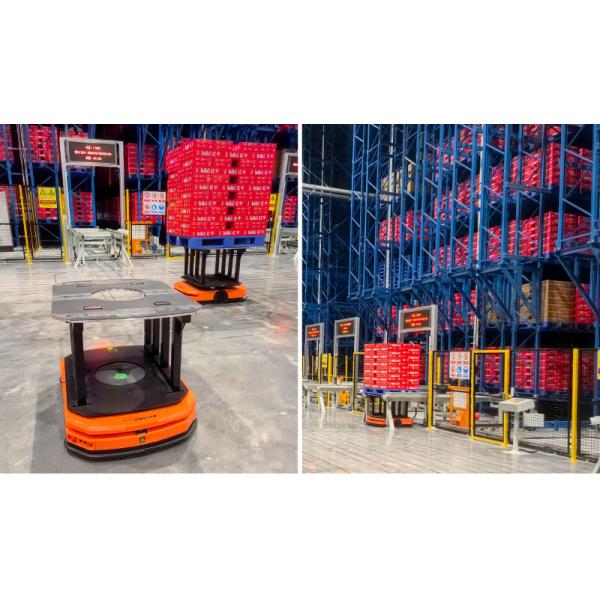 Double Deep Pallet Stacker ASRS, Automatic Storage and Retrieval System