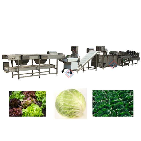 Quality Lettuce Vegetable Processing Machinery Leafy Vegetable Processing Line for sale