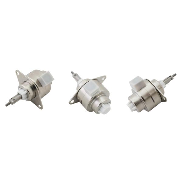 25mm External Drive Linear Stepper Motor 5VDC Step Angle 15 ° With POM Nut Screw Motor