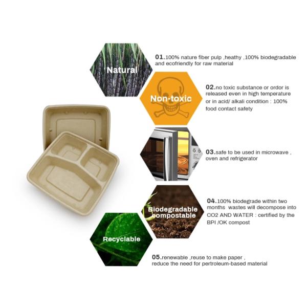 Cornstarch plastic 3 compartments 900ml microwave biodegradable food container