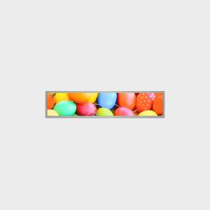 Quality 16.4 inch Bar Type LCD Display 1366*230 LVDS 700nits for sale