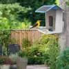 China Bird Buddy Smart Bird Feeder with Camera HD Visual Storage Feeders, Window Bird Feeder, Night Video Camera on sale