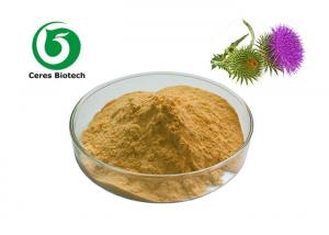 Quality 80% Silymarin Milk Thistle Extract Powder Herb Extract Natural Supplement for sale