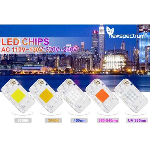 Solderless UV LED Module COB Cold White Light Beads For Floodlights