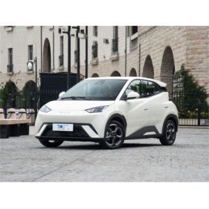 Yellow Byd Seagull Hatchback Vehicle Automobile Pure Electric 5 Seat