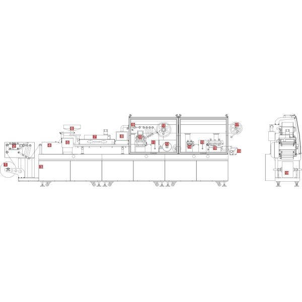 CE Approved Automatic Pharmaceutical Blister Packaging With Servo Motor Driving