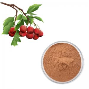 China Hawthorn Berry Extract Flavones 80% Powder Crataegus Leaf Extract on sale