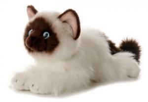 Quality Plush Stuffed Animal Cat Toys for sale
