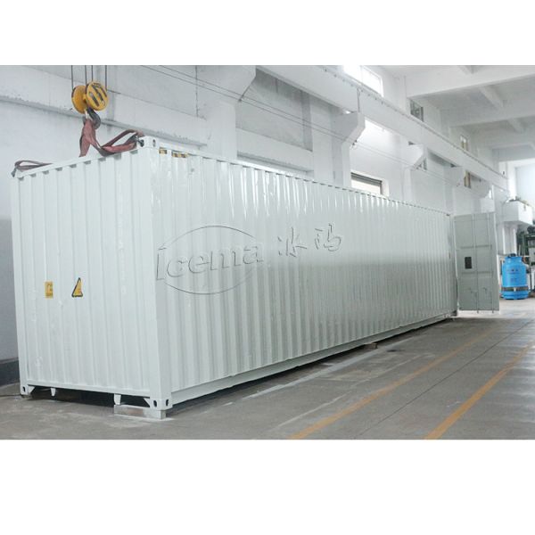 2000 KG TECUMSEH Compressor 15 Ton Container Block Ice Machine with Mobile Plant