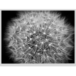 Buy cheap 20 Pins 15" TFT Color LCD Display 1024x768 Lvds Panel Full Viewing Angle from wholesalers